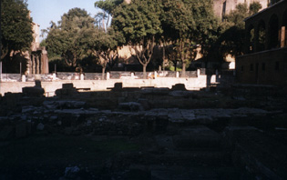 L'area archeologica
